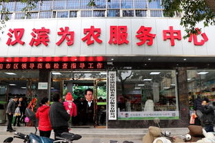 粉条一上午就卖了600多斤 汉滨为农服务中心搭起销售平台